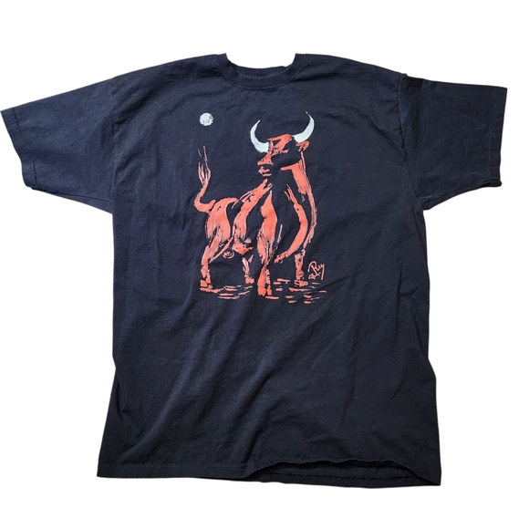 Fruit of the Loom Other - Fruit of the Loom Chicago Bulls Black Tee with Red Bull Design NBA Basketball